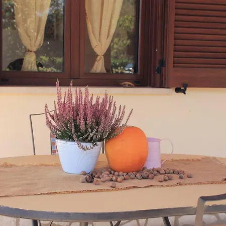 La Casetta Di Rosa Dom wakacyjny